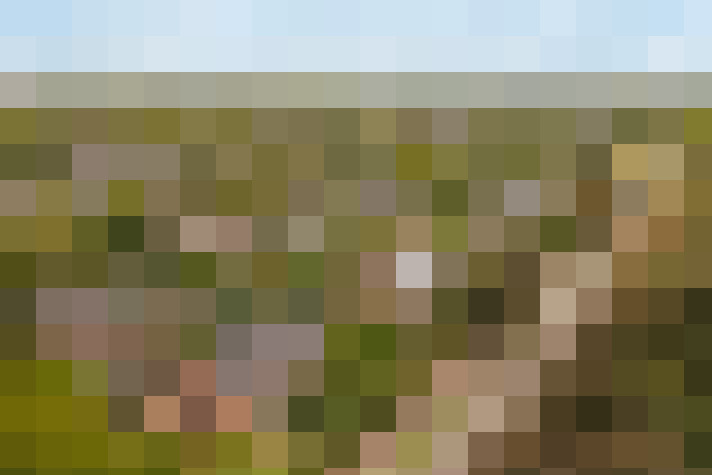  / #64