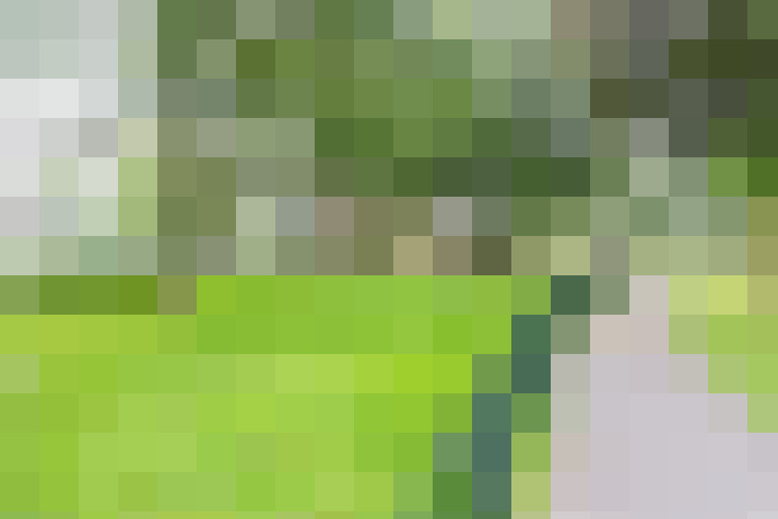  / #17