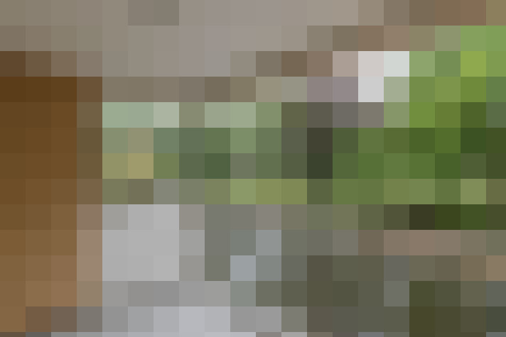  / #15