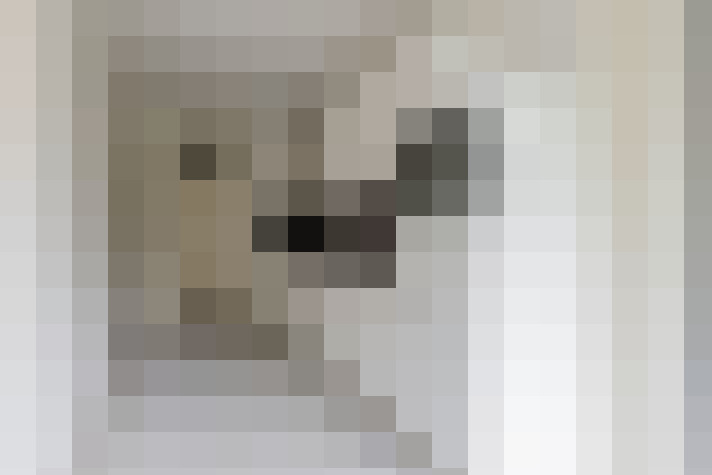  / #9