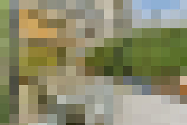 / #16