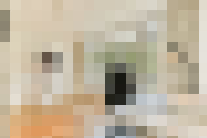  / #26