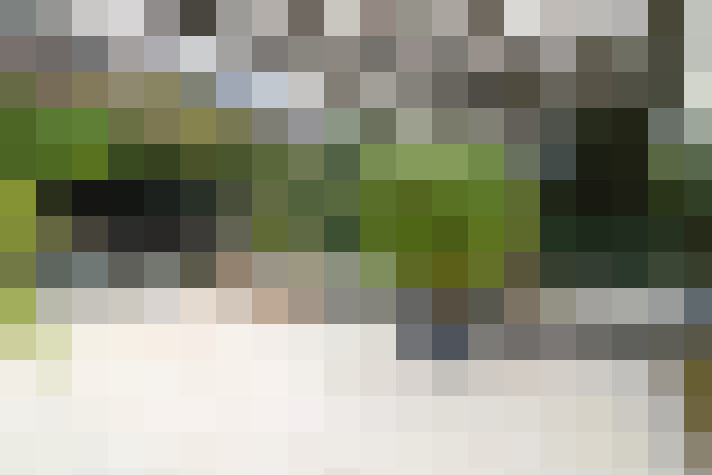  / #15