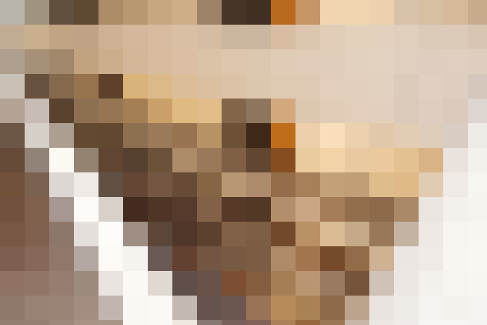 / #22