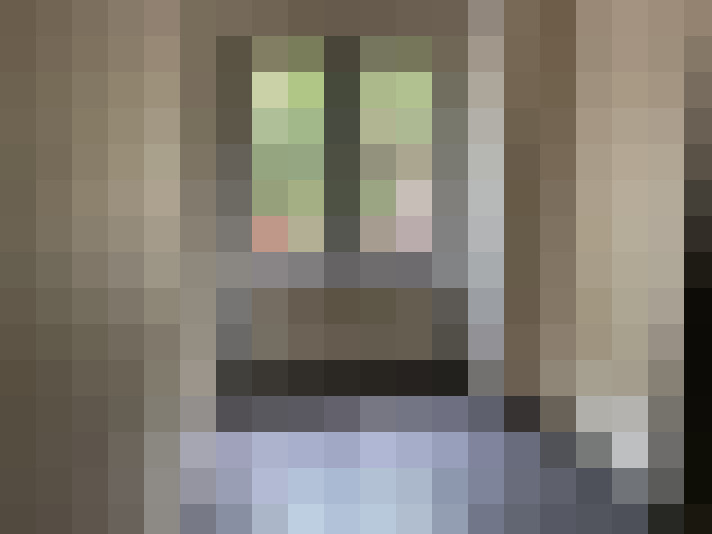  / #7