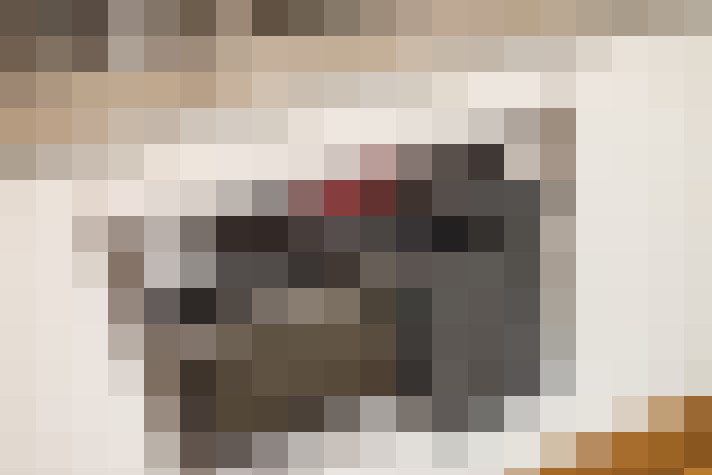  / #19