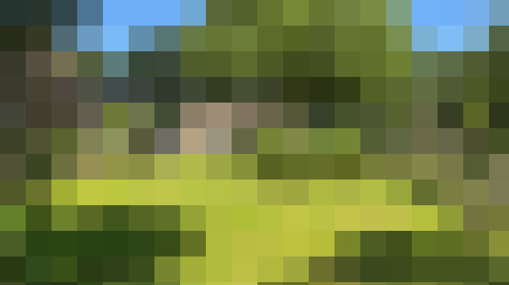  / #16