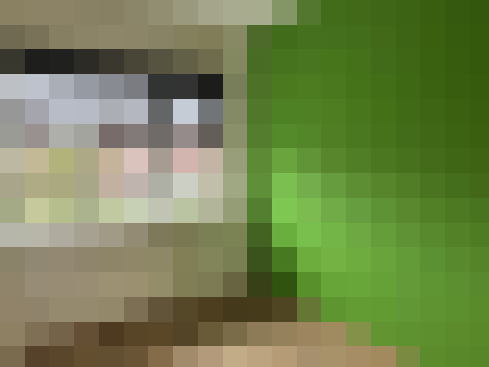  / #7