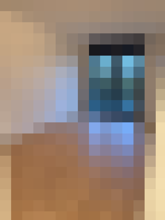  / #6