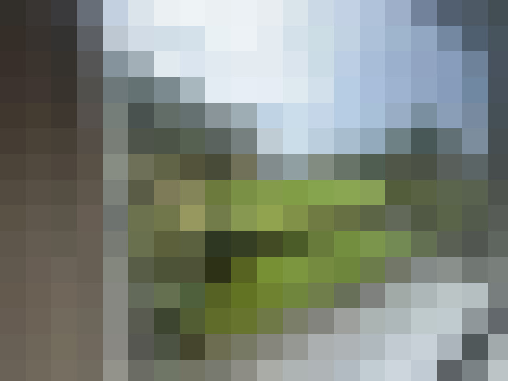  / #16