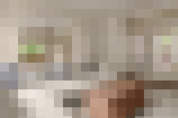  / #15