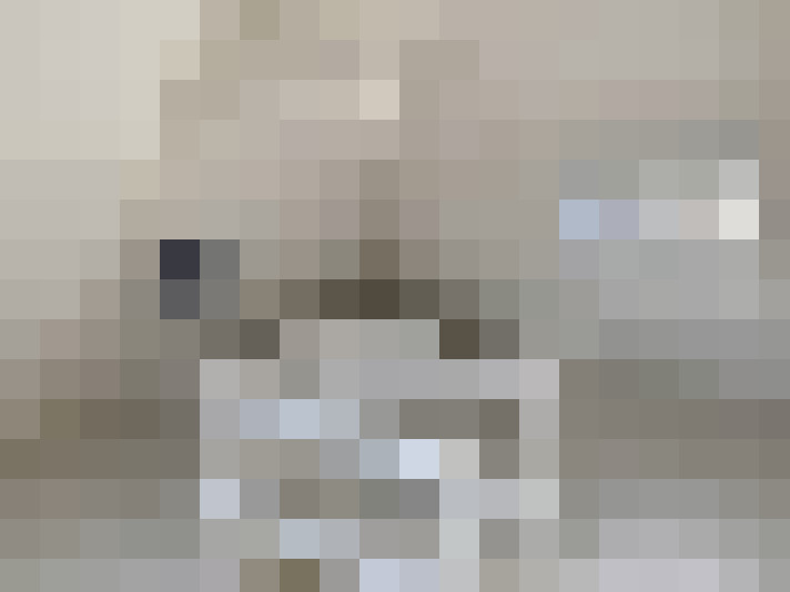  / #17