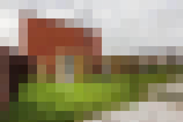 / #19