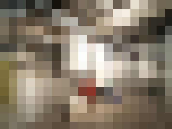  / #34