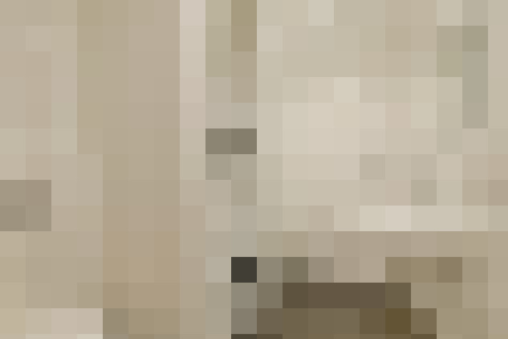  / #15