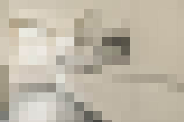  / #11