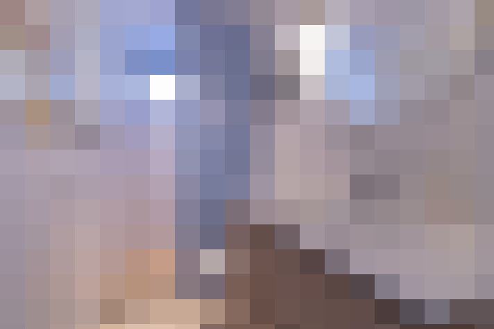  / #31
