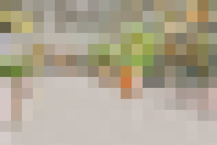  / #21