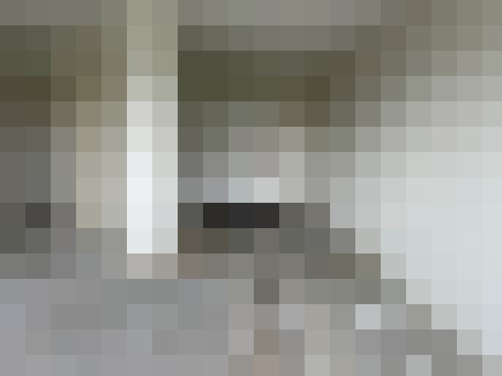  / #15