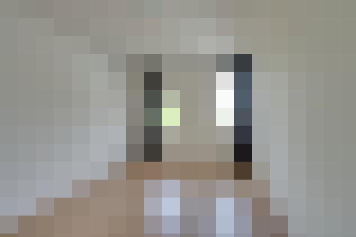 / #29