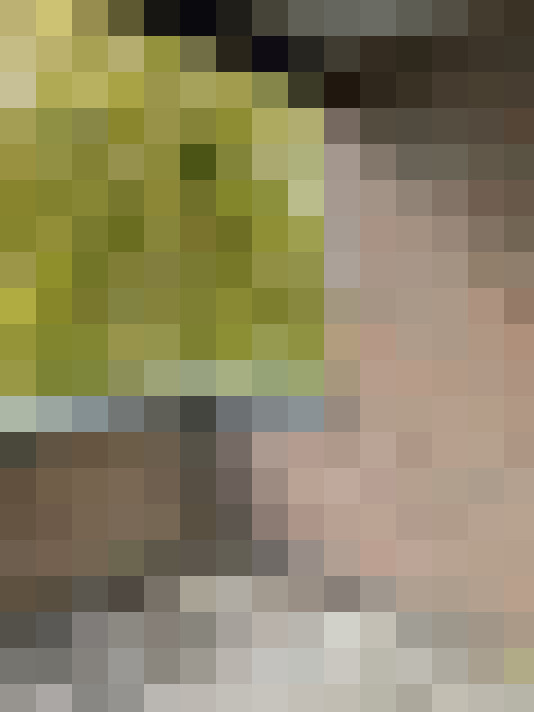 / #13