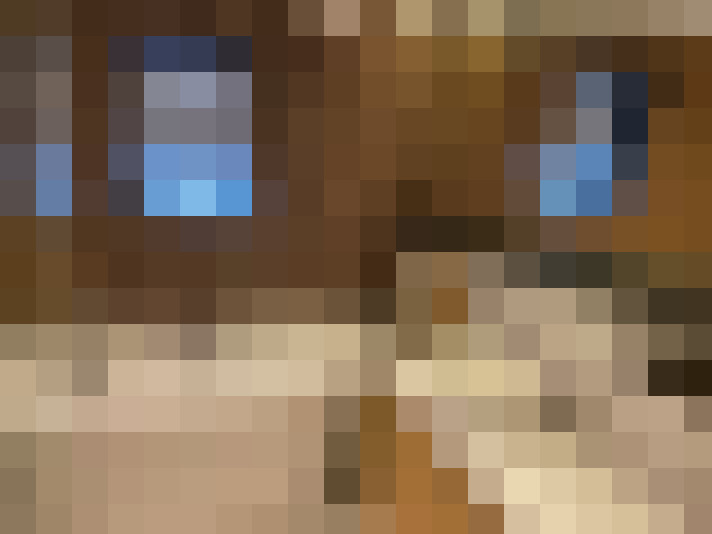  / #24