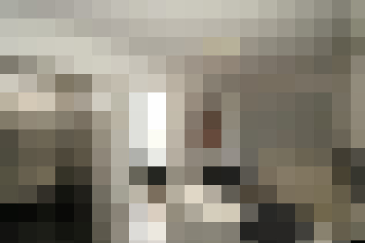  / #21