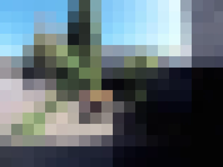  / #15
