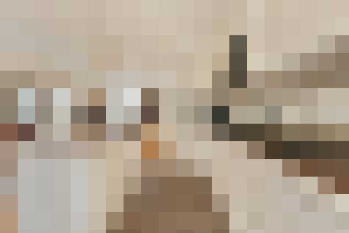  / #11
