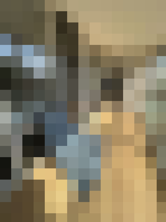 Image 13