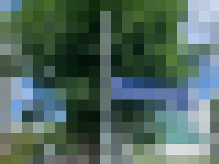 Image 23