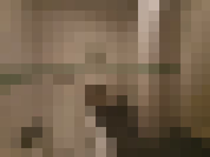  / #12