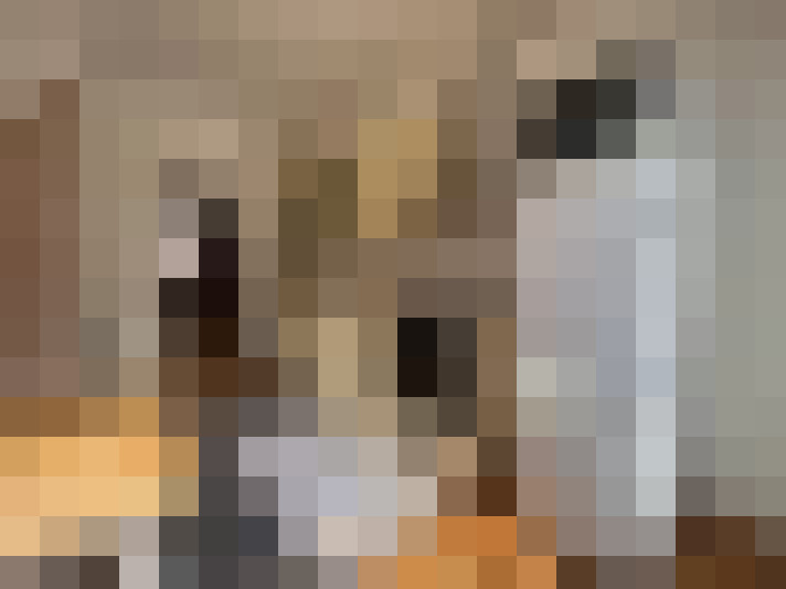  / #12