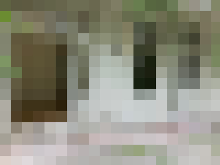  / #15