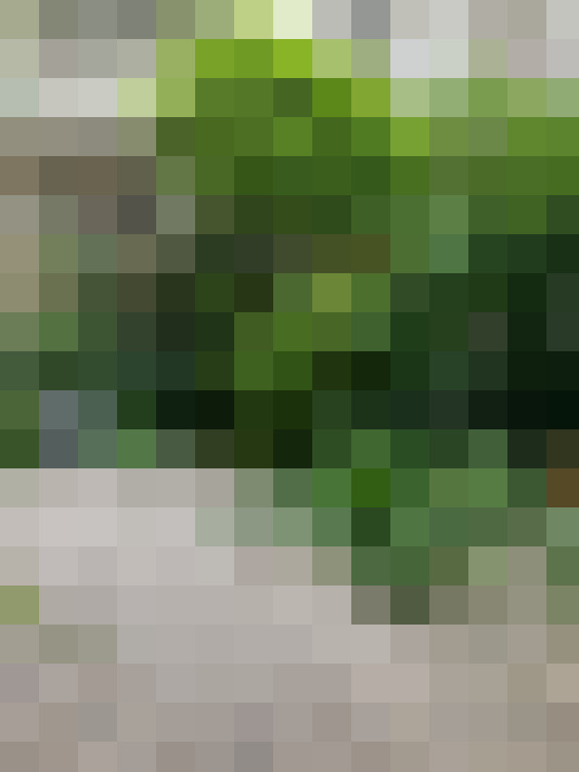  / #17