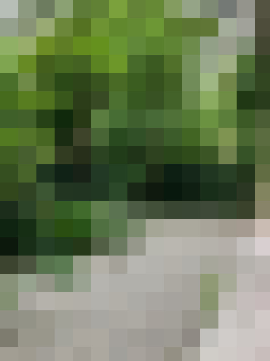  / #18