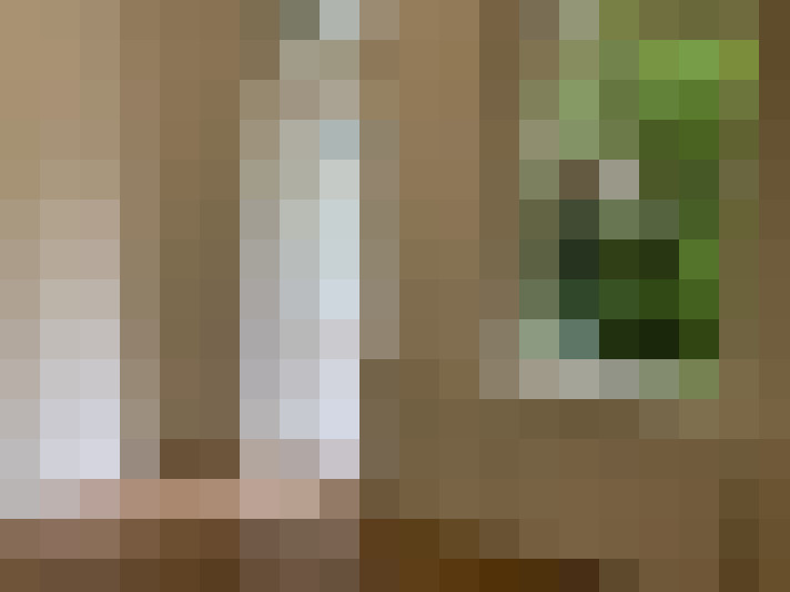  / #11