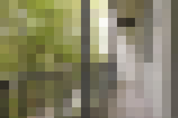 / #14