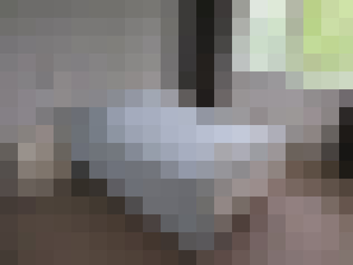  / #15
