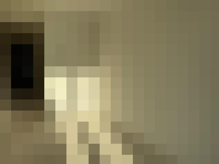 / #12