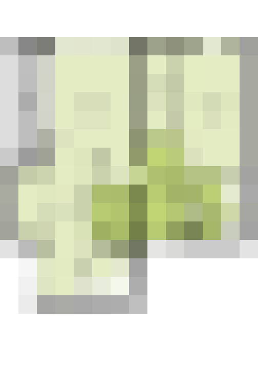 / #19