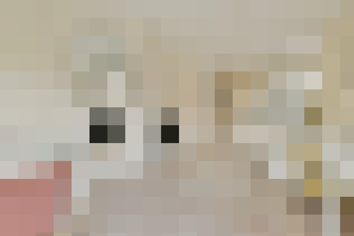  / #8