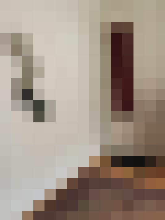  / #6