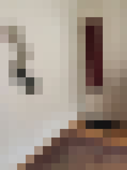  / #6