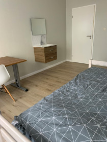 Room in Capelle Aan Den IJssel