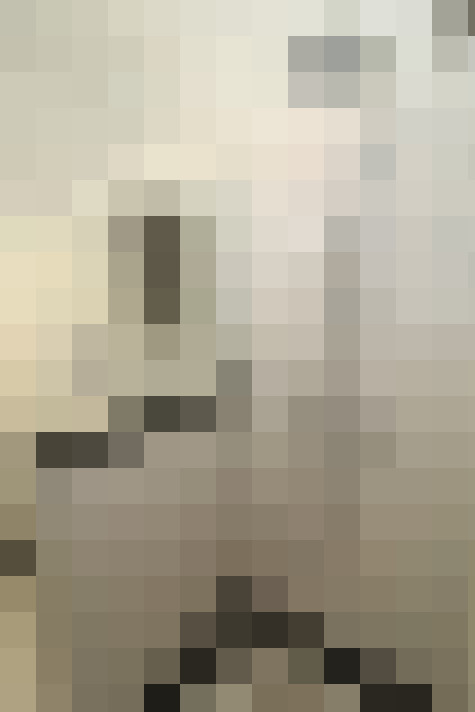  / #19