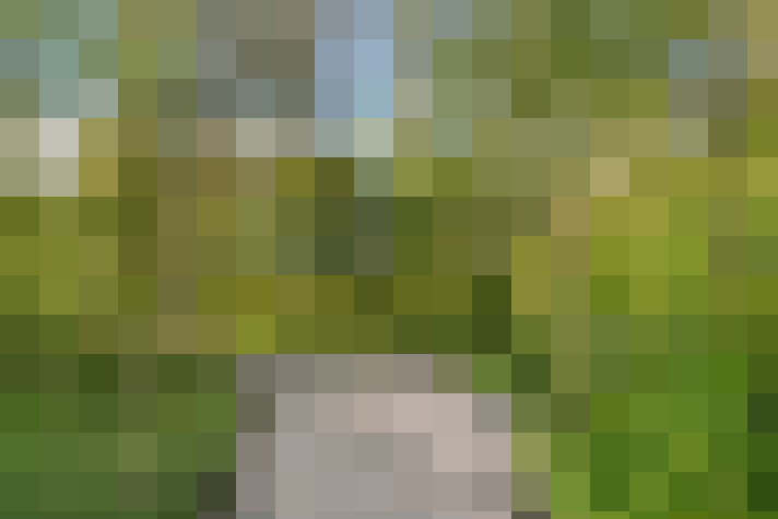 Image 62