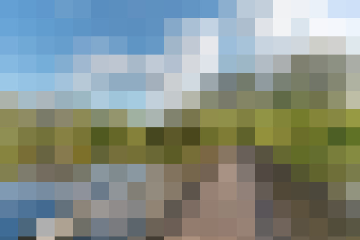 Image 37