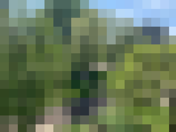Image 15