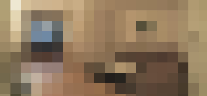  / #6